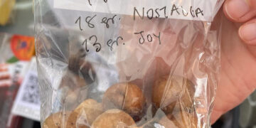 PERFORMANCE: Emotion Cookie Tasting by Kitchen Testimonies - The Art of Small 2026